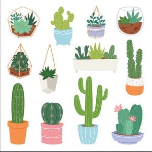 Meet your Posher, Ania